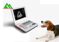 Φορητός πλήρης ψηφιακός κτηνιατρικός ανιχνευτής υπερήχου για το ζώο σκυλιών Caw βοοειδών προμηθευτής