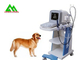 Φορητός πλήρης ψηφιακός κτηνιατρικός ανιχνευτής υπερήχου για το ζώο σκυλιών Caw βοοειδών προμηθευτής